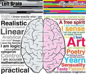 human-brain-left-right-what-you